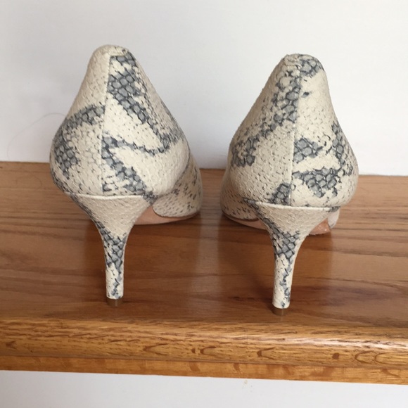 NEW Cole Haan Snake Skin Leather SZ 8 - Picture 3 of 5